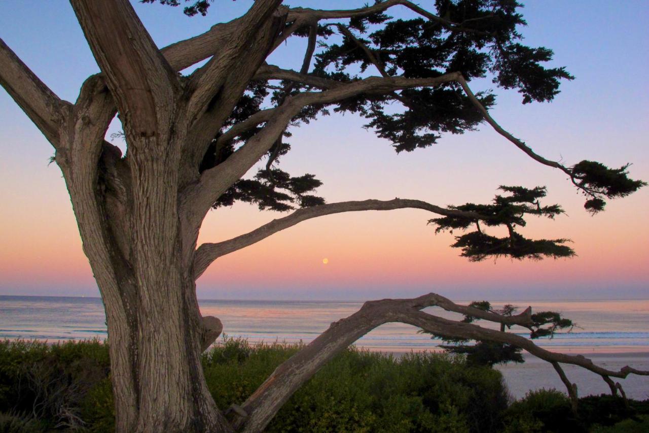 Sea View Inn - Carmel エクステリア 写真
