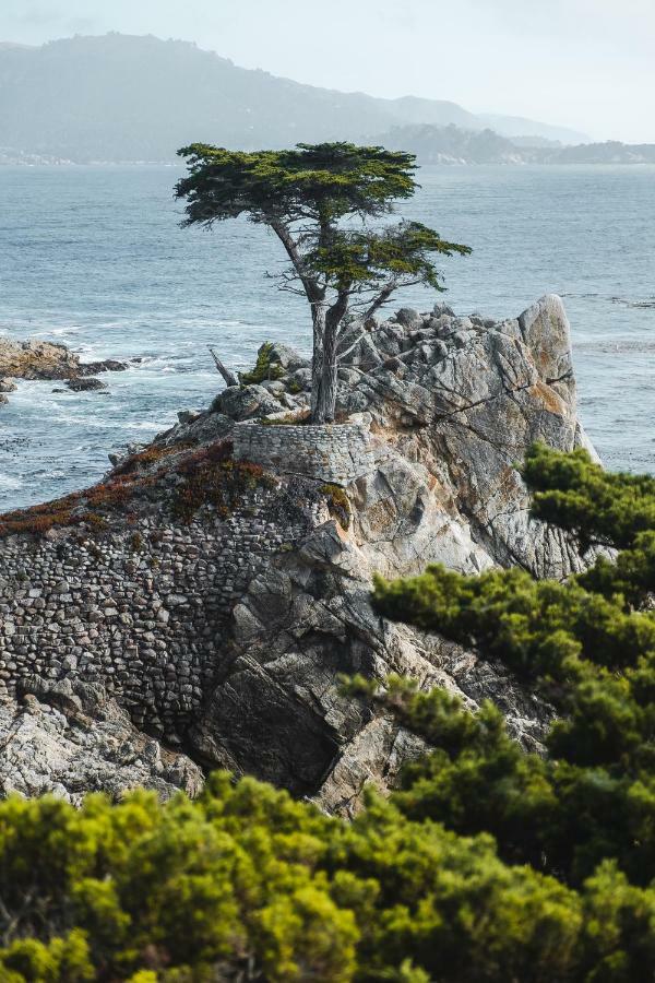 Sea View Inn - Carmel エクステリア 写真